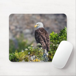 Baldadler auf dem Felsen Mousepad