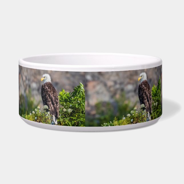 Baldadler auf dem Felsen Napf (Links)