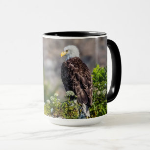 Baldadler auf dem Felsen Tasse