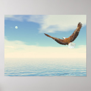 Baldadler, der auf dem Ozean zum Mond fliegt Poster