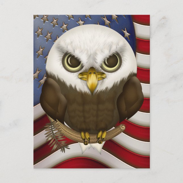 Baldwin der Niedliche Bald Adler Postkarte (Vorderseite)