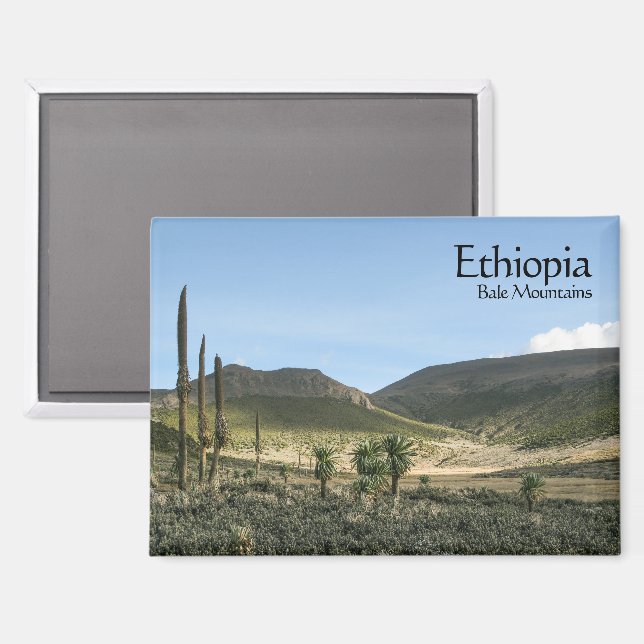 Bale Mountains Äthiopien Magnet (Vorderseite/Rückseite)