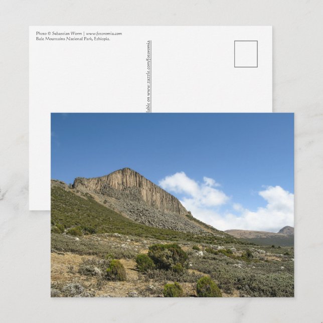 Bale Mountains Äthiopien Postkarte (Vorne/Hinten)