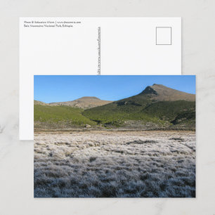 Bale Mountains Äthiopien Postkarte