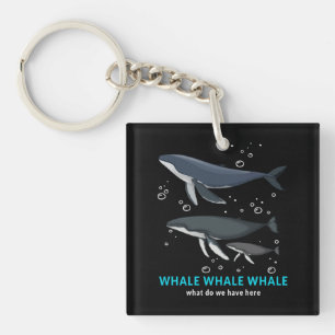 Baleine À Baleine Qu'avons-nous ici