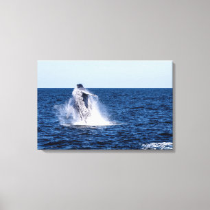 Baleine à bosse toile étirée Imprimer