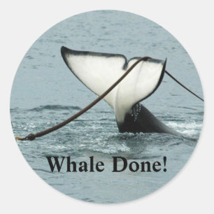 Baleine ! Autocollant