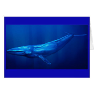 Baleine bleue