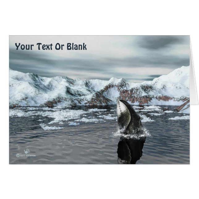 Baleine boréale (Devant horizontal)