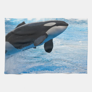 Baleine d'une serviette de cuisine de temps