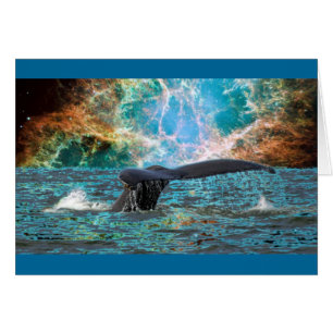 Baleine et Supernova