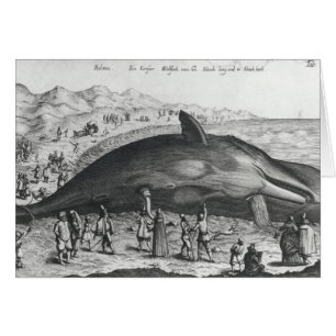 Baleine morte