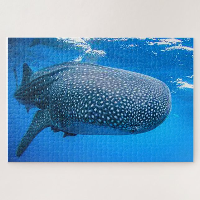 Baleine Sharks Jigsaw Puzzle (Horizontal)