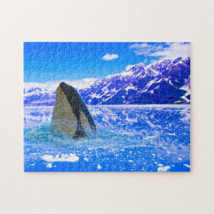 Baleines orques canadiennes. Puzzle