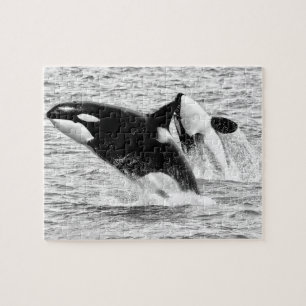 Baleines tueuses en monochrome, Puzzle de Jigsaw