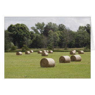 Bales de foin