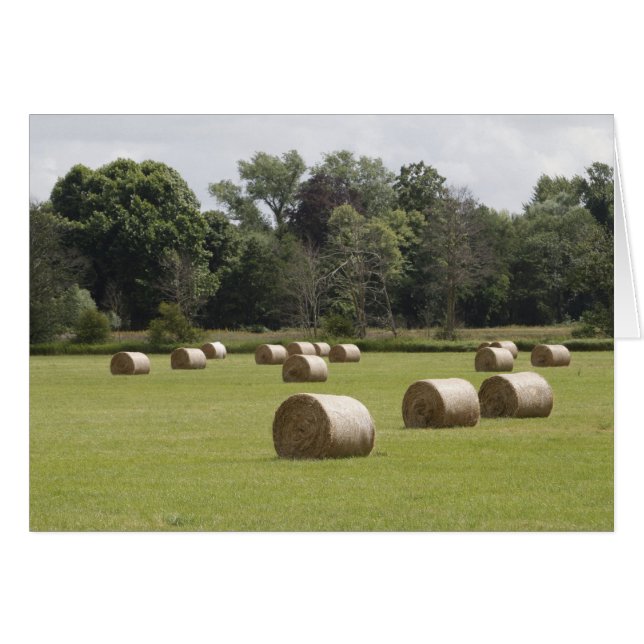 Bales de foin (Devant horizontal)