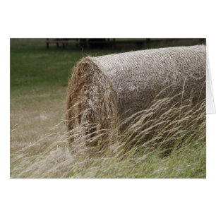 Bales de foin