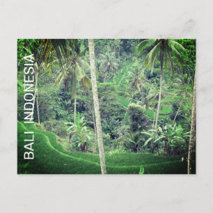 Bali Indonesia Postcard Postkarte