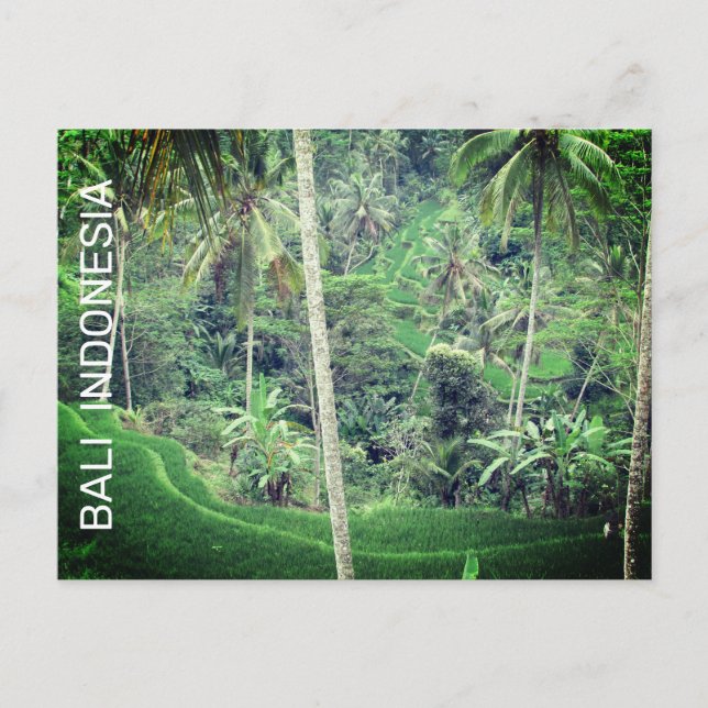 Bali Indonesia Postcard Postkarte (Vorderseite)