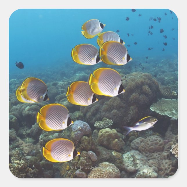 Bali, Indonesien Quadratischer Aufkleber (Vorderseite)