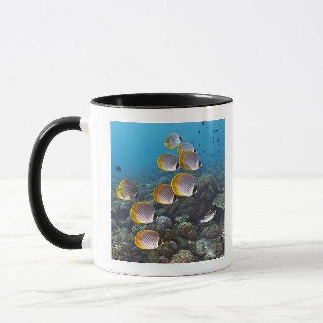 Bali, Indonesien Tasse (Links)