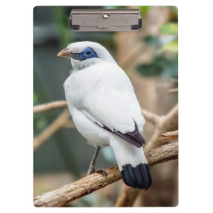 Bali Myna Bird Clipboard Klemmbrett