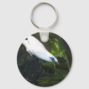 Bali Myna Schlüsselanhänger