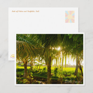Bali-Palmen & Reisfelder Postkarte