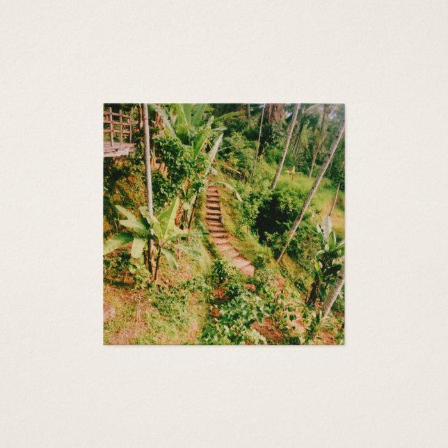 Bali Regenwaldtreppe (Vorderseite)