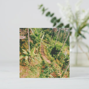 Bali Regenwaldtreppe