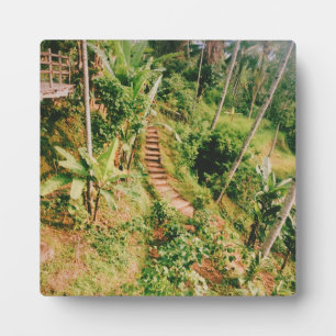 Bali Regenwaldtreppe Fotoplatte