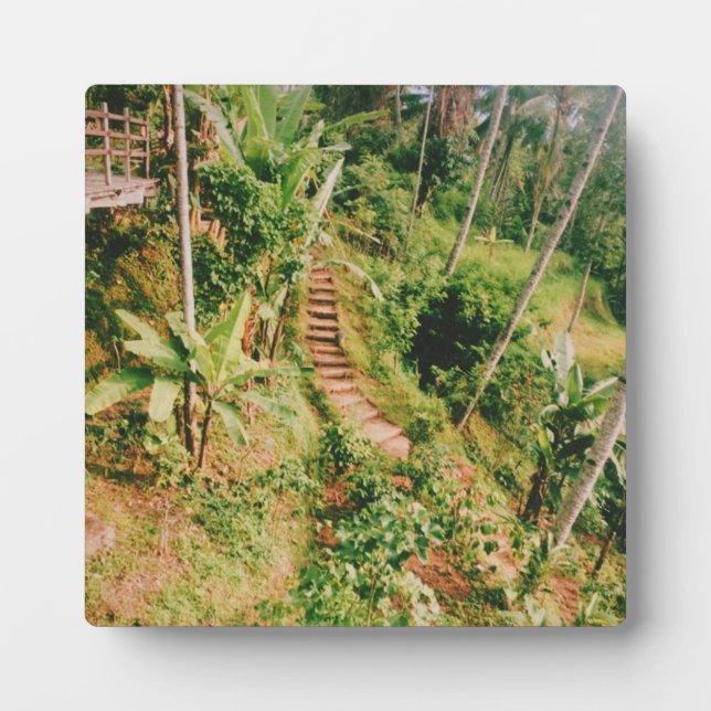 Bali Regenwaldtreppe Fotoplatte (Vorderseite)