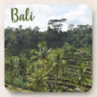 Bali Ubud Reisfelder