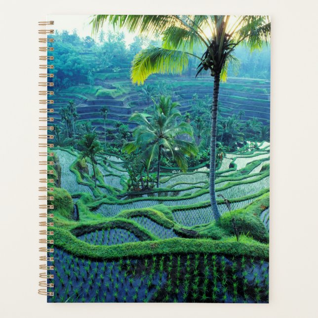 Bali | Vue D'Ensemble Des Terrasses De Riz (Devant)