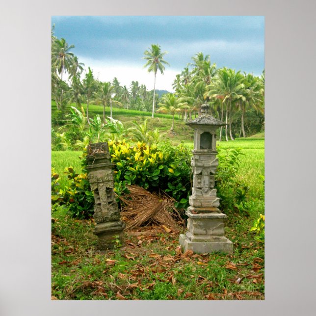 Balinese Rice Field Shrines Poster (Vorne)