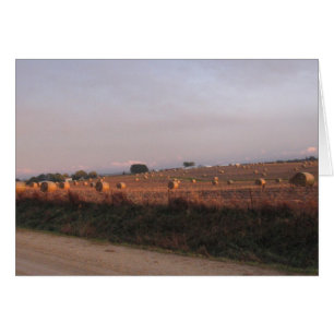 Baling Corn Stalts