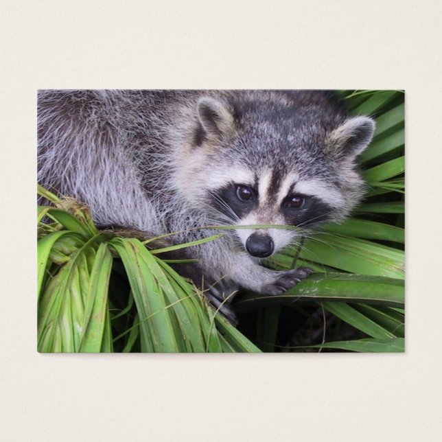 Balise cadeau d'anniversaire heureuse (Devant)