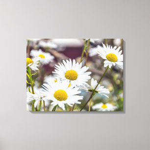 Balises blanches afficher impression de toile
