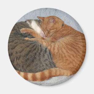 Ball of Cuteness Magnet