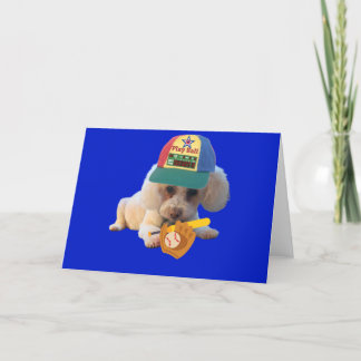 Ball Poodle Faltenkarte spielen Karte
