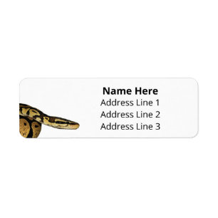 Ball Python Pet Snake Rücksendeadresse