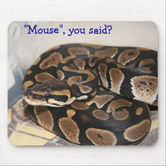 Ball-Pythonschlange interessiert an Maus Mousepad