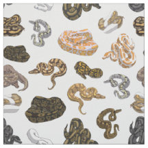 Ball-Pythonschlange-Schlange verwandeln Muster