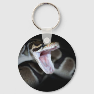 Ball-Pythonschlange-Schlüsselkette Schlüsselanhänger