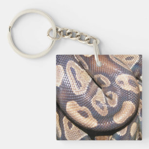 Ball-Pythonschlangen Schlüsselanhänger