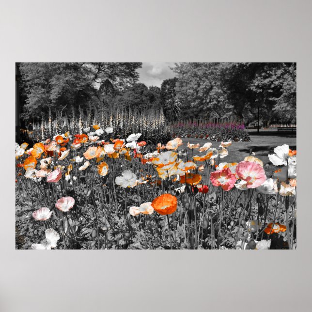 Ballarat Botanische Gärten Poster (Vorne)