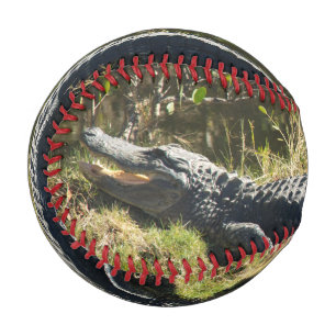 Balle De Baseball Alligator dans le soleil