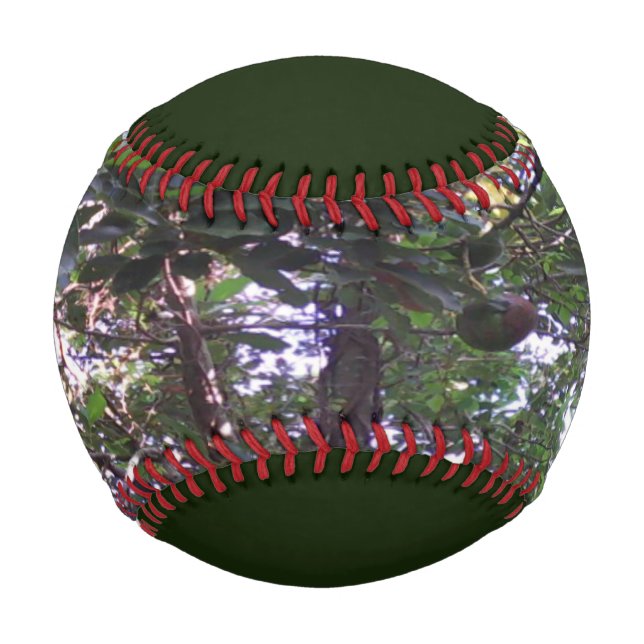 Balle De Baseball Arbre Avocado (Devant)
