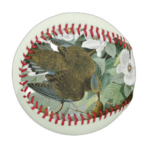 Balle De Baseball Carolina Pigeon Audubon Morning Dove